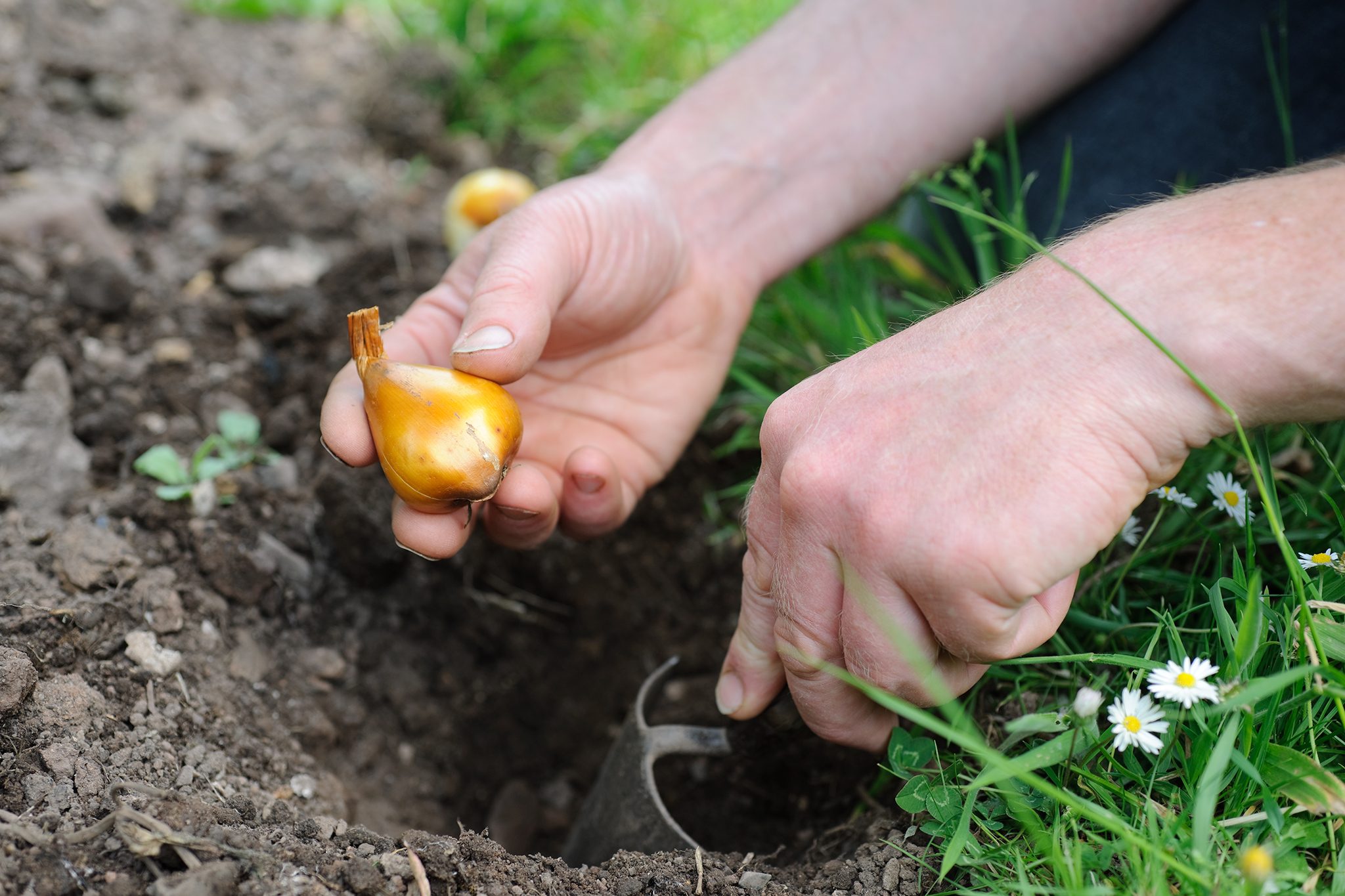 Preparing the Soil