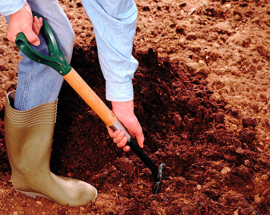 Preparing the Soil