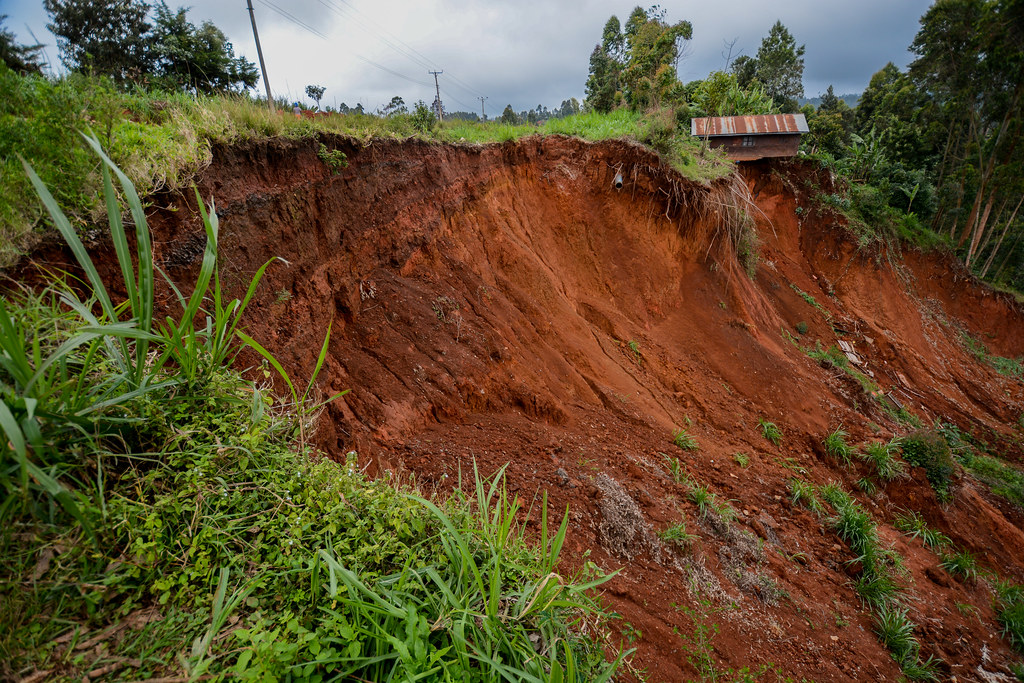 Remedy for Soil Erosion