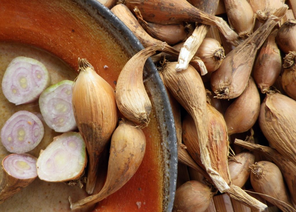 Selecting Shallots for Planting