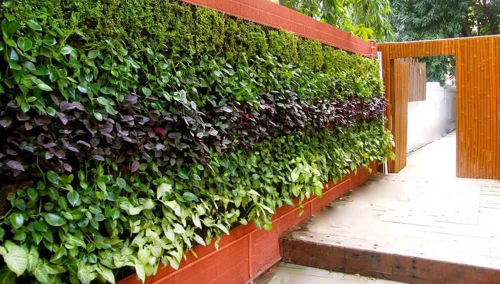 20 Genius Ways to Create a Vertical Garden in Limited Space