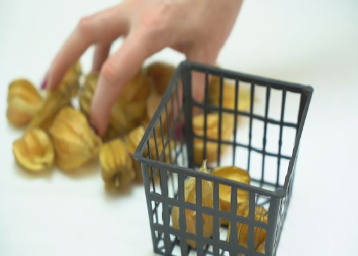 Storing Fresh Tomatillos