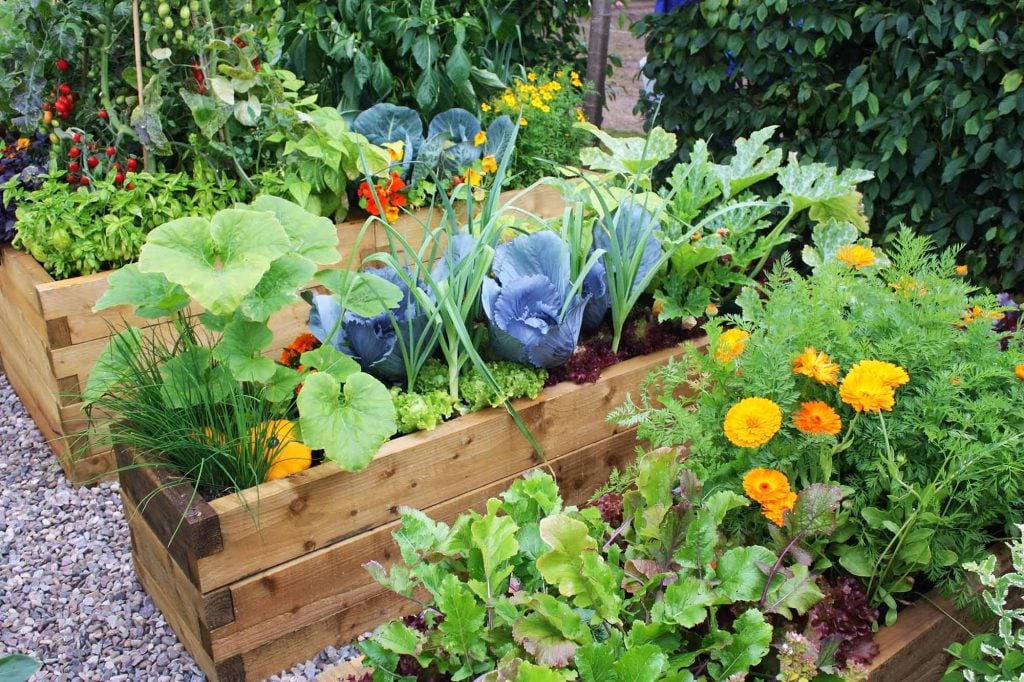 Vegetable garden