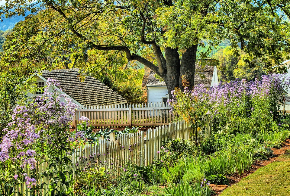 28 Must-Have Tall Perennials to Add Height  to Your Garden