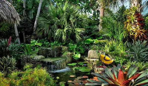 Spice Up Your UK Garden with These Top 16 Tropical Ideas!