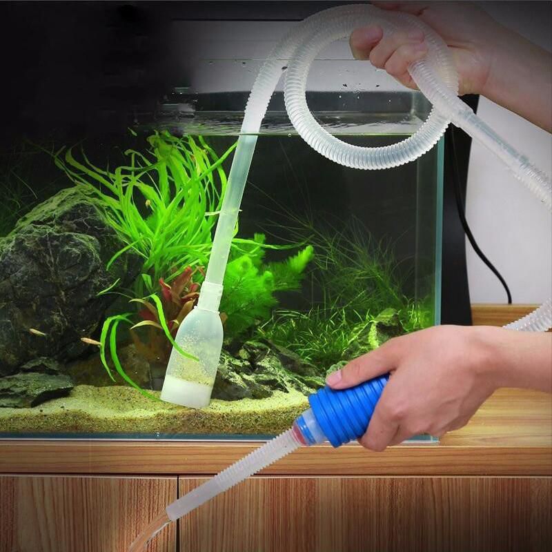 Using Fish Tank Water