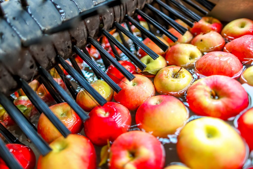 Washing and Sorting Apples