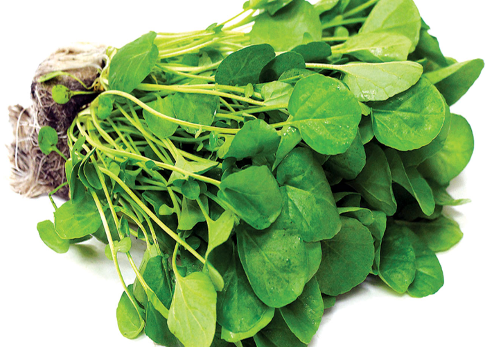 Watercress (1)