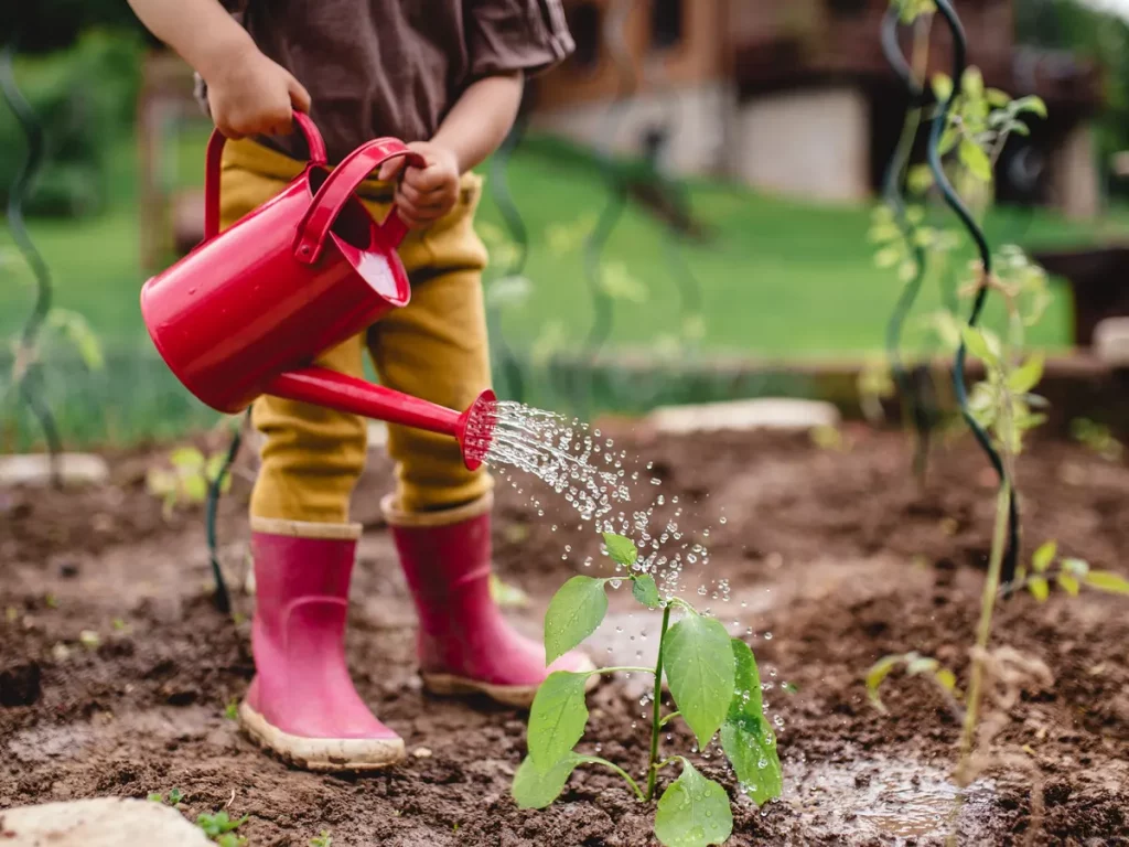 Watering Precisely