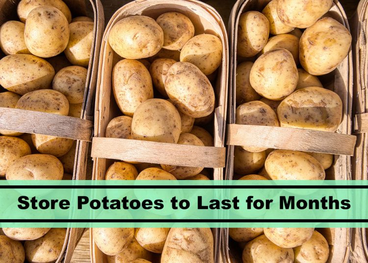 9 Simple Hacks for Storing Potatoes Fresh for Months! [UK]