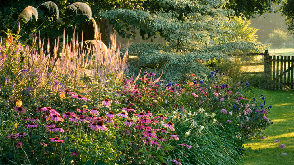 What is the Hardiness of Plants?