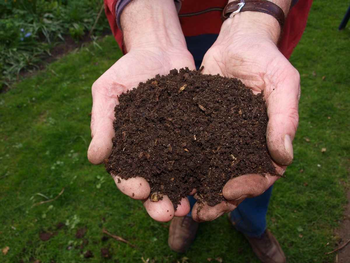 Why Compost?