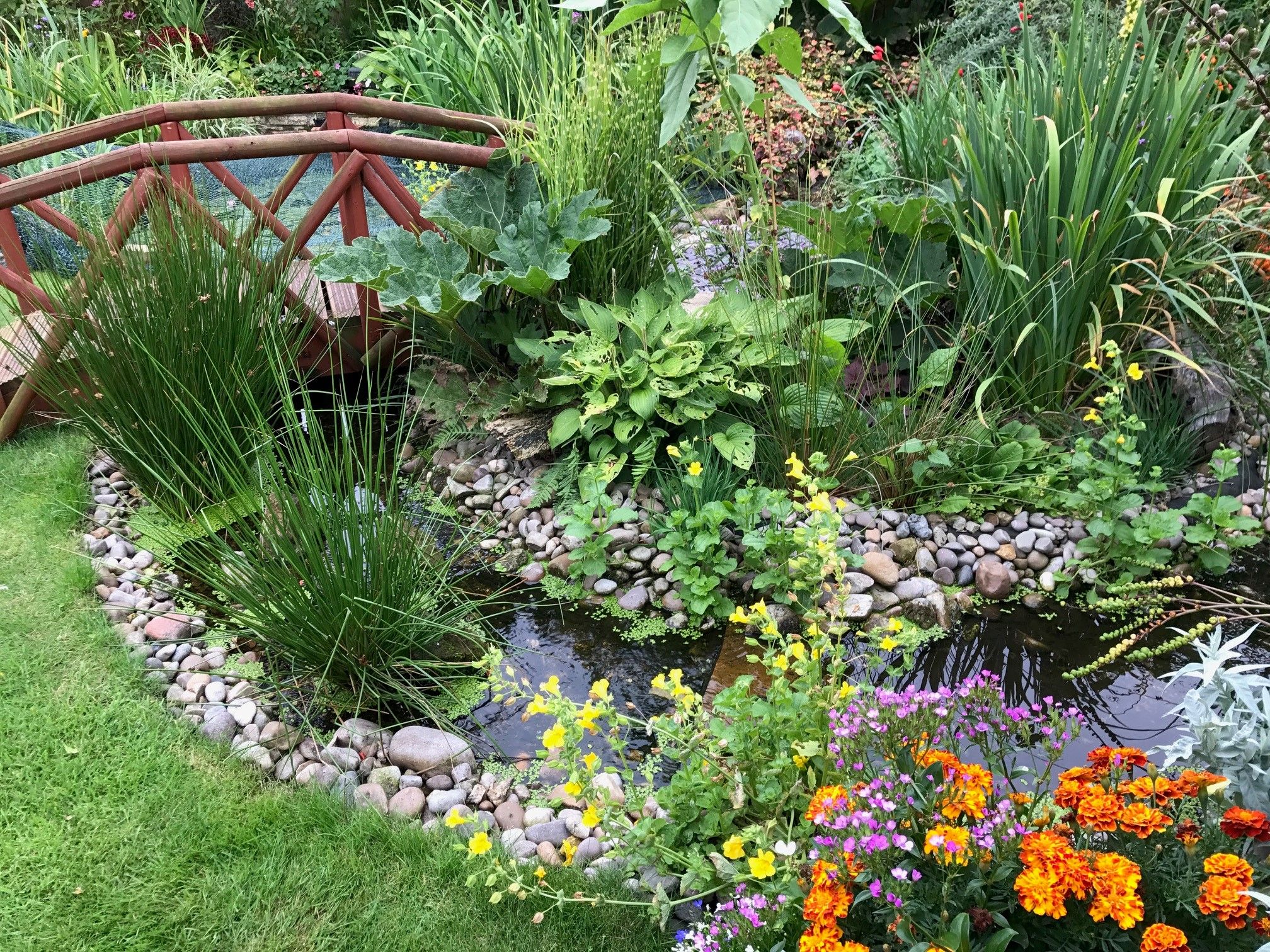 22 Wildlife Gardening Ideas to Build Your Own Eco-Friendly Garden