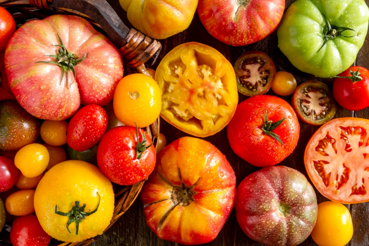 18 Yellow and Orange Tomato Varieties for a Colorful Garden