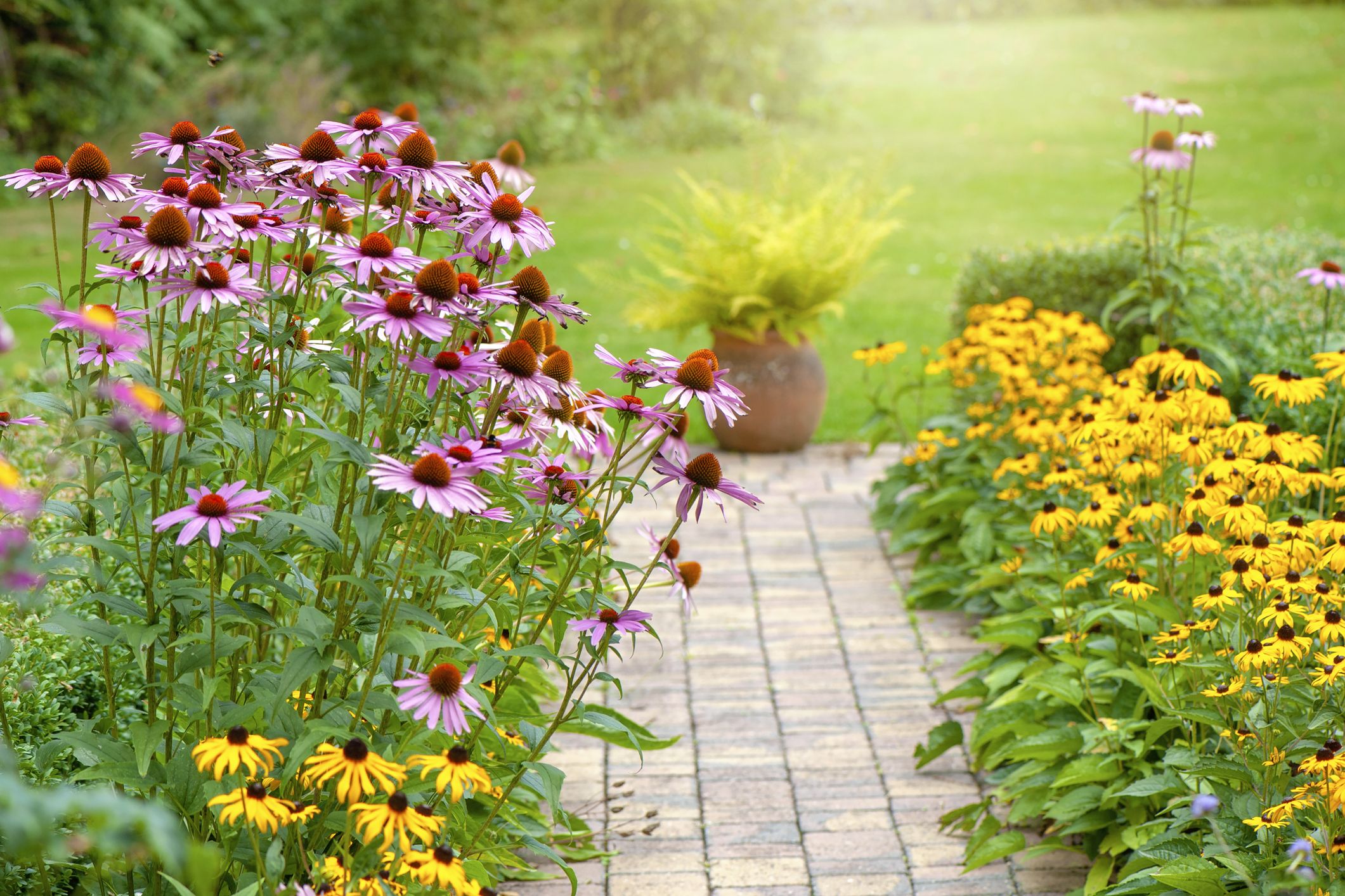 The 6 Most Popular Flowers Around the UK