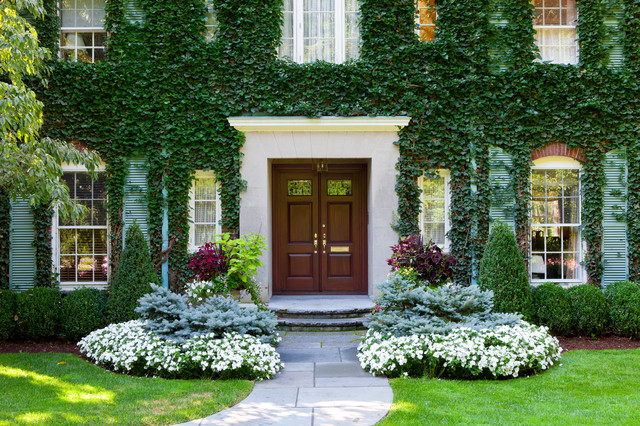 Climbing Plants that Won’t Damage Walls