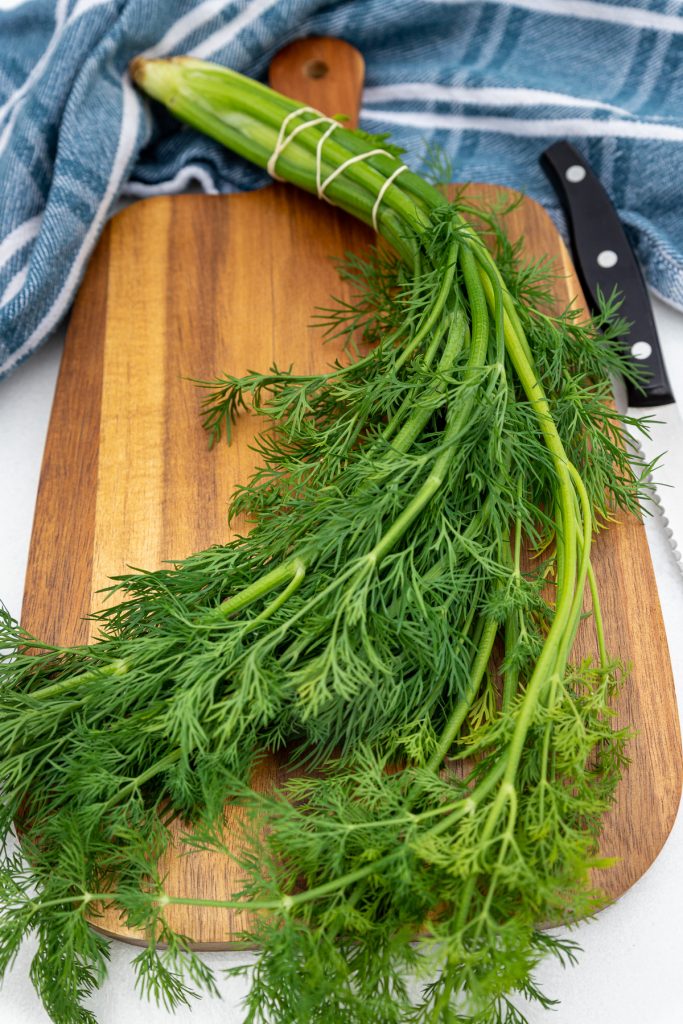 fresh-dill