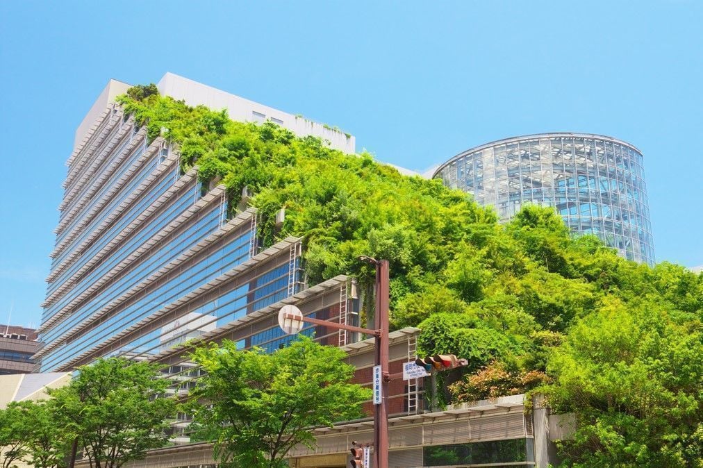 The Future of Sustainable Commercial Building Construction