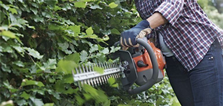 What is the difference between a hedge trimmer and a hedge cutter?