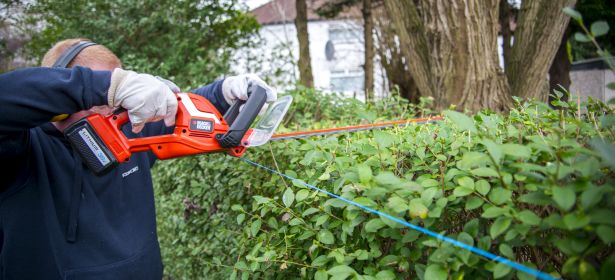 hedge trimmer