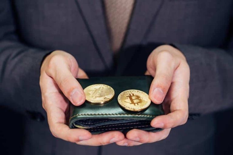 Cryptocurrency Wallets: The Best Electronic Devices for Safe Storage