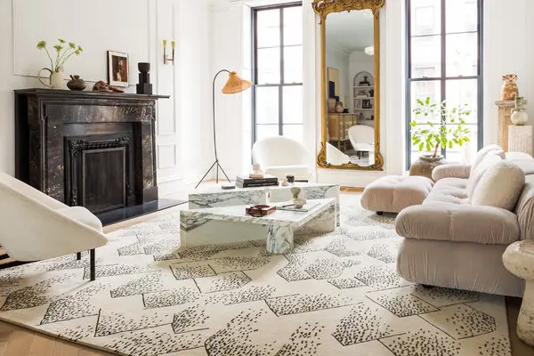 A Rug Shopping Adventure – How to get the Perfect Rug for your Home?