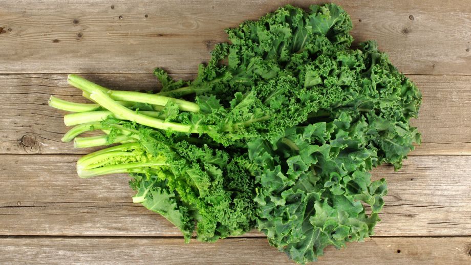 How and When to Harvest Kale to Increase Its Productivity